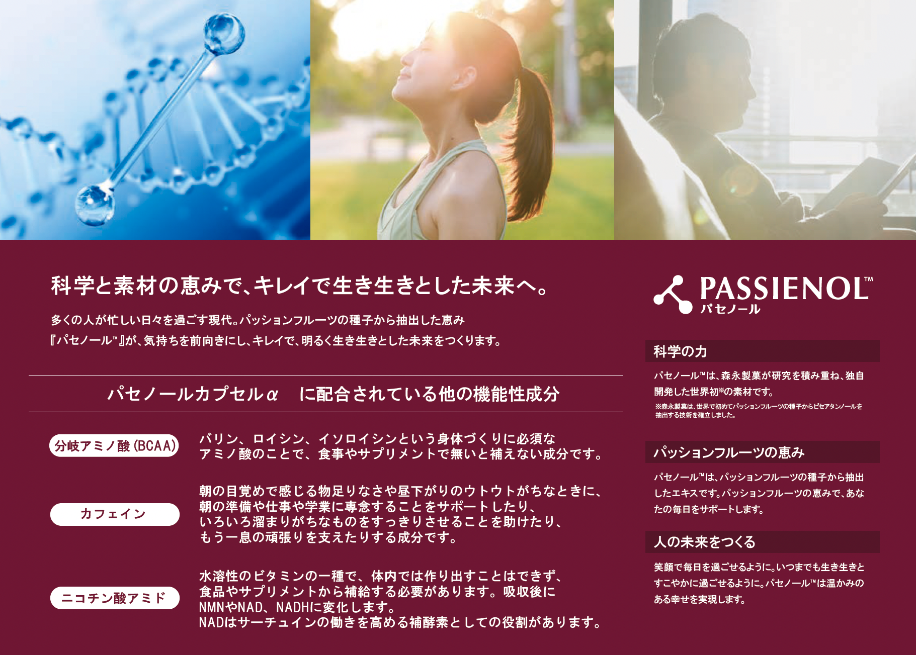 Passienol パセノールカプセルα – SYNBI ONLINE Passienol パセノールカプセルα – SYNBI ONLINE